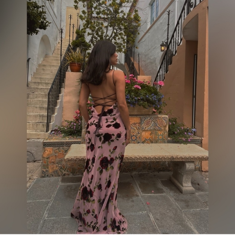 Serena pink devore maxi dress